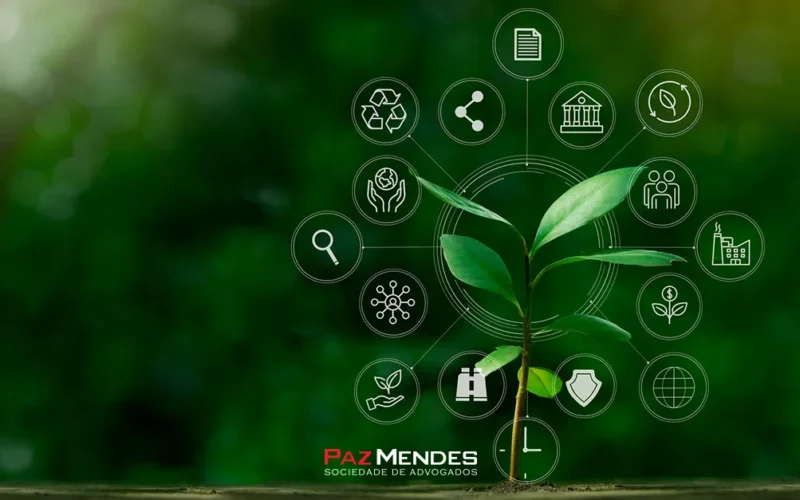 Como funciona um processo criminal ambiental? Como funciona um processo criminal ambiental?
