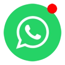 WhatsApp Paz Mendes